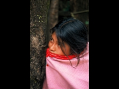 015_Chiapas_Mexico_1993